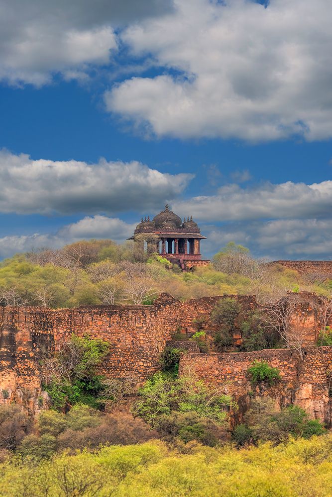 India, Rajasthan. Ranthambore NP. Fortress ruin on the hill built in 944 AD housing Maharajahs